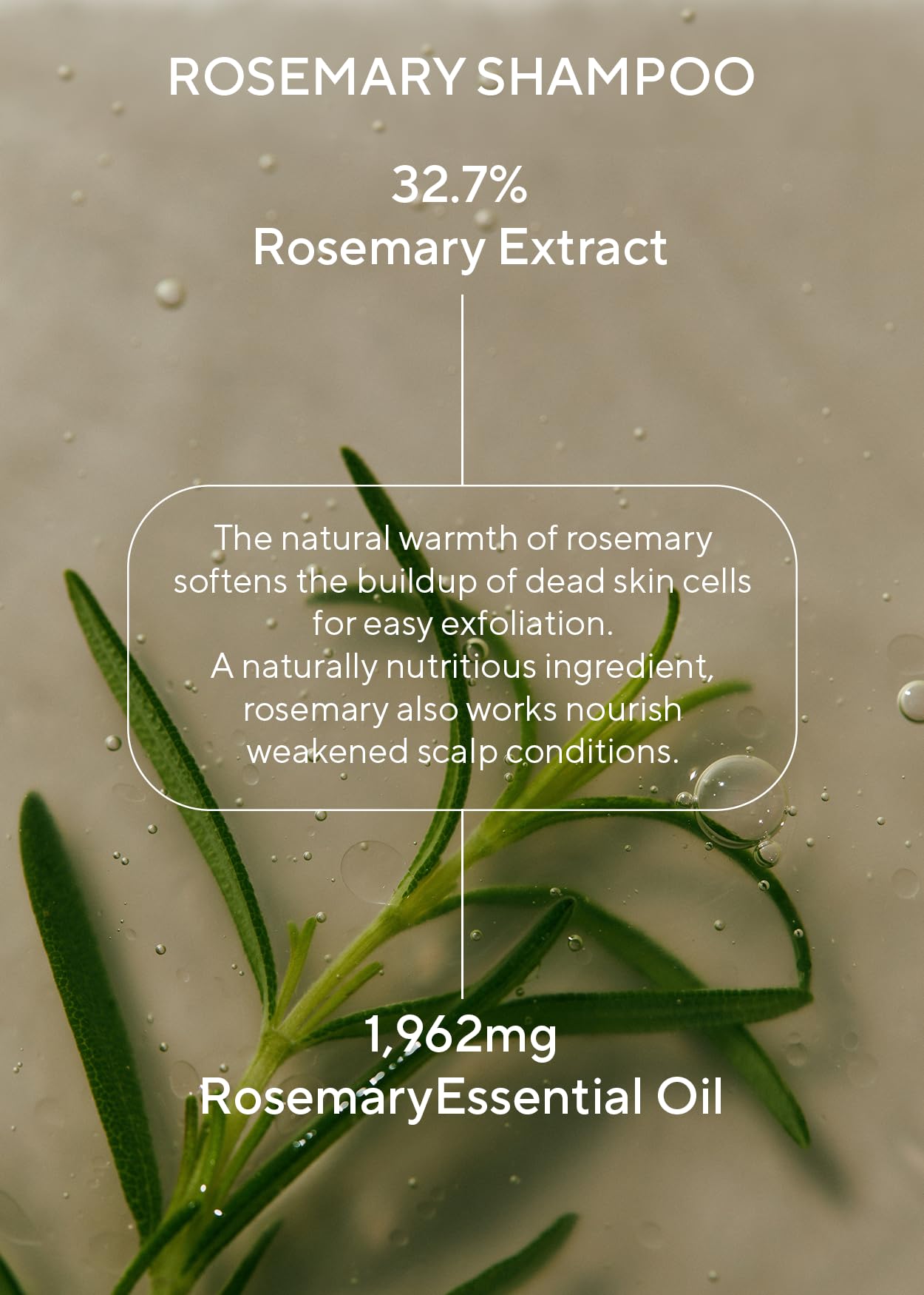 AROMATICA organic rosemary oil closeup highlighting natural scent.