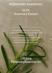 AROMATICA organic rosemary oil closeup highlighting natural scent.