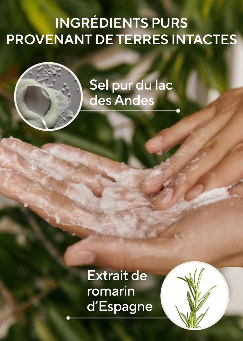 AROMATICA Rosemary Salt Scrub Shampoo foam highlights a cleansing lather.