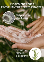 AROMATICA Rosemary Salt Scrub Shampoo foam highlights a cleansing lather.
