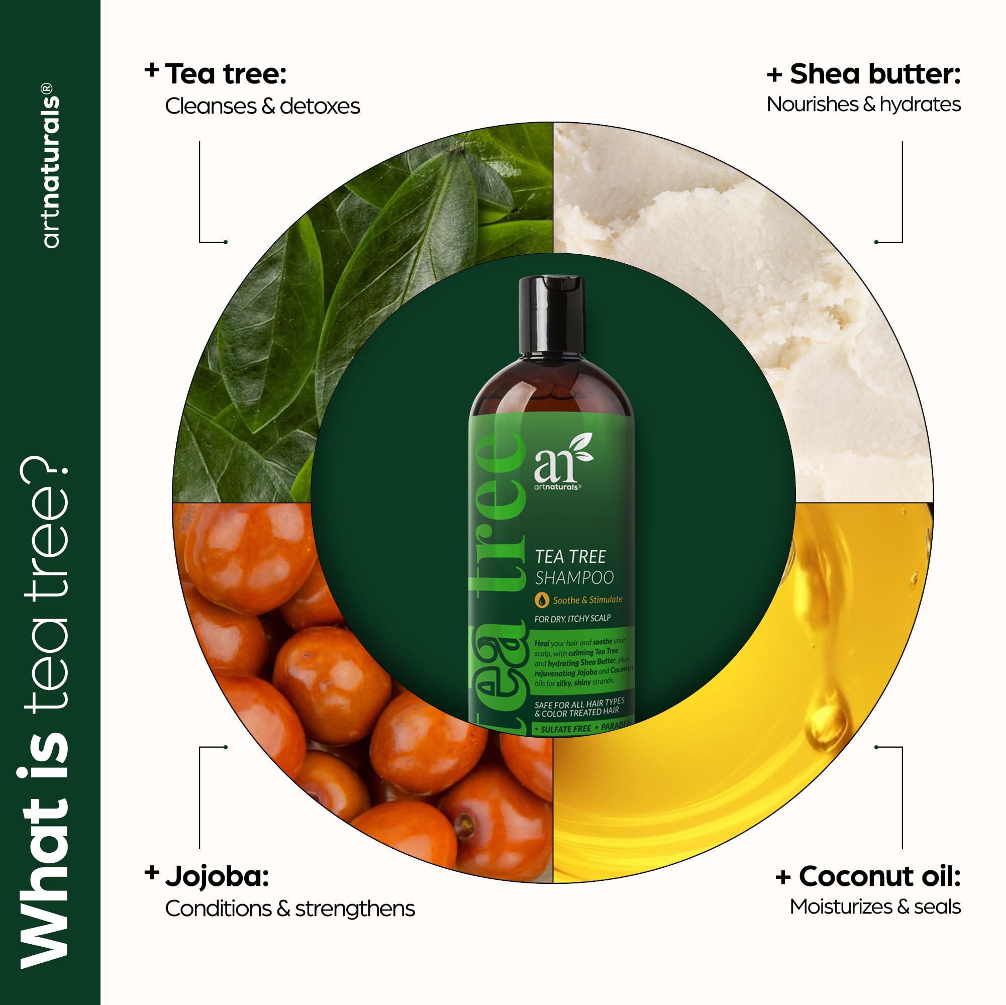 Ingredient highlight of Artnaturals Tea Tree Shampoo featuring tea tree oil for aroma and scalp freshness