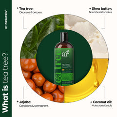 Ingredient highlight of Artnaturals Tea Tree Shampoo featuring tea tree oil for aroma and scalp freshness