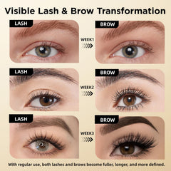 ASAMO eyebrow serum bottle features dual-function growth formula.