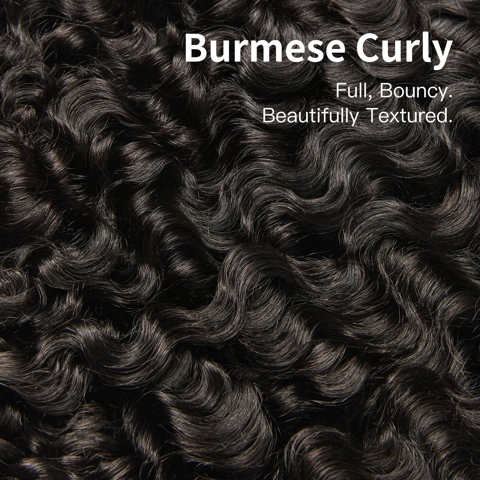 ASHINE Burmese curly bundles raw hair closeup reveals intact cuticles and premium feel.