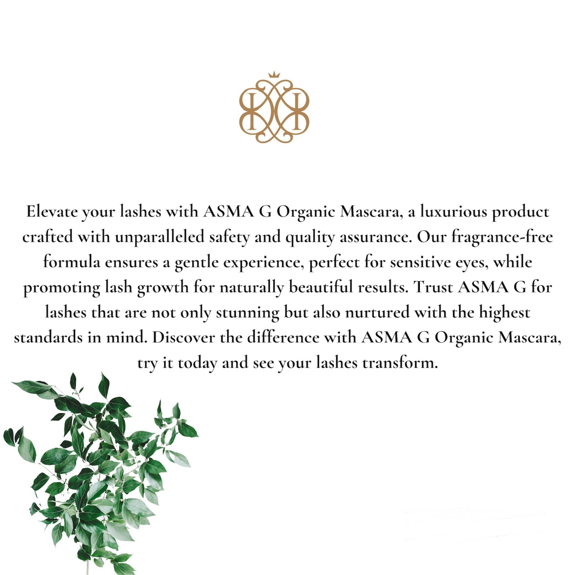 ASMA G Organic Mascara volume and definition for everyday wear