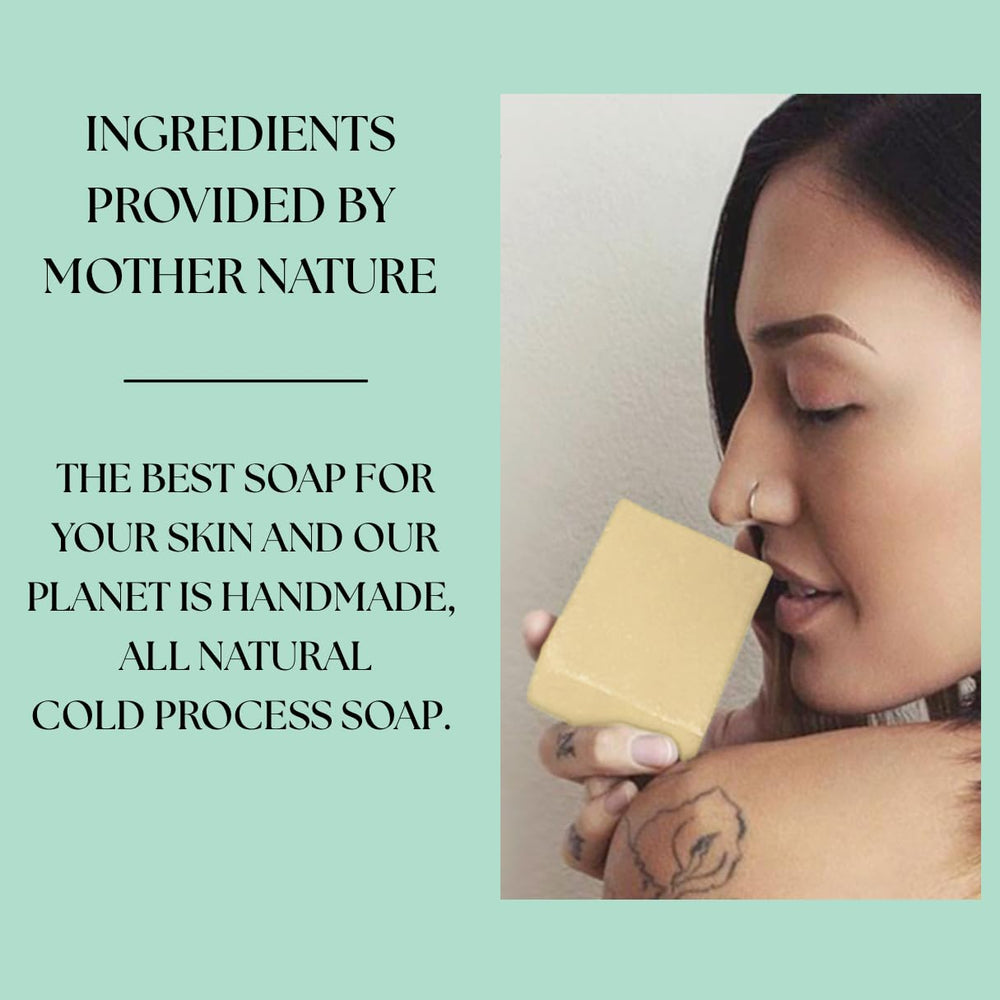 Aspen Kay Naturals calendula and aloe close-up emphasizes soothing botanical blend for sensitive skin