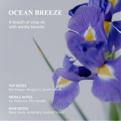 Atom Fresh Laboratory Ocean Breeze packaging highlights aluminum-free formula.