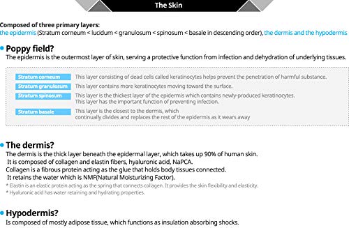 Atomy BB Cream application shows even blend after skincare.