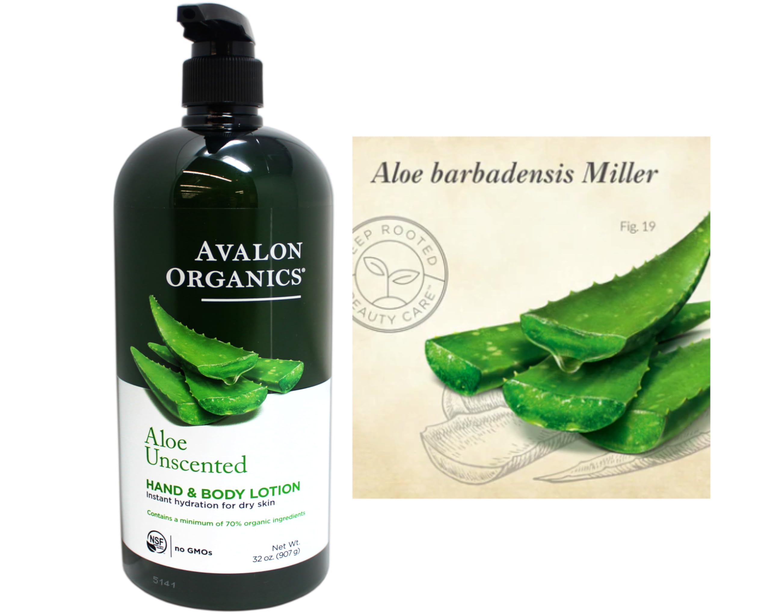 Avalon Organics 32oz family-size bottle offers long-lasting skincare for the whole family.