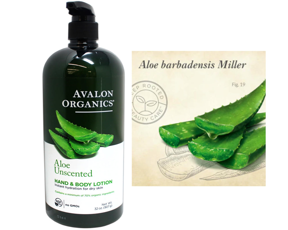 Avalon Organics 32oz family-size bottle offers long-lasting skincare for the whole family.