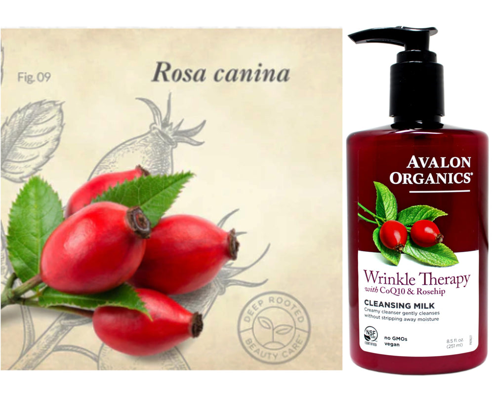 Avalon Organics CoQ10 cleansing milk application routine demonstrates easy daily cleanse.