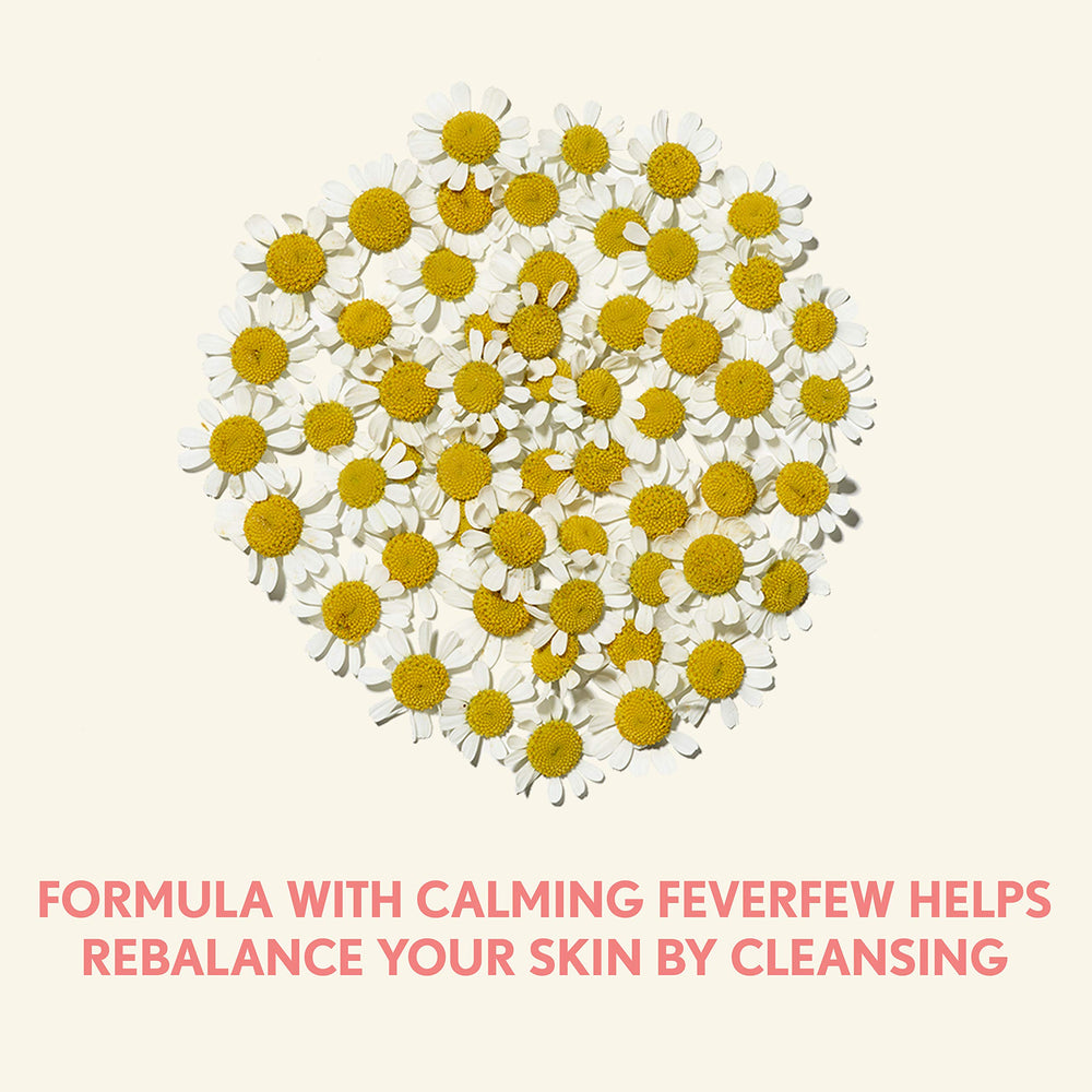 Aveeno Feverfew and Oat ingredients closeup highlighting calming components
