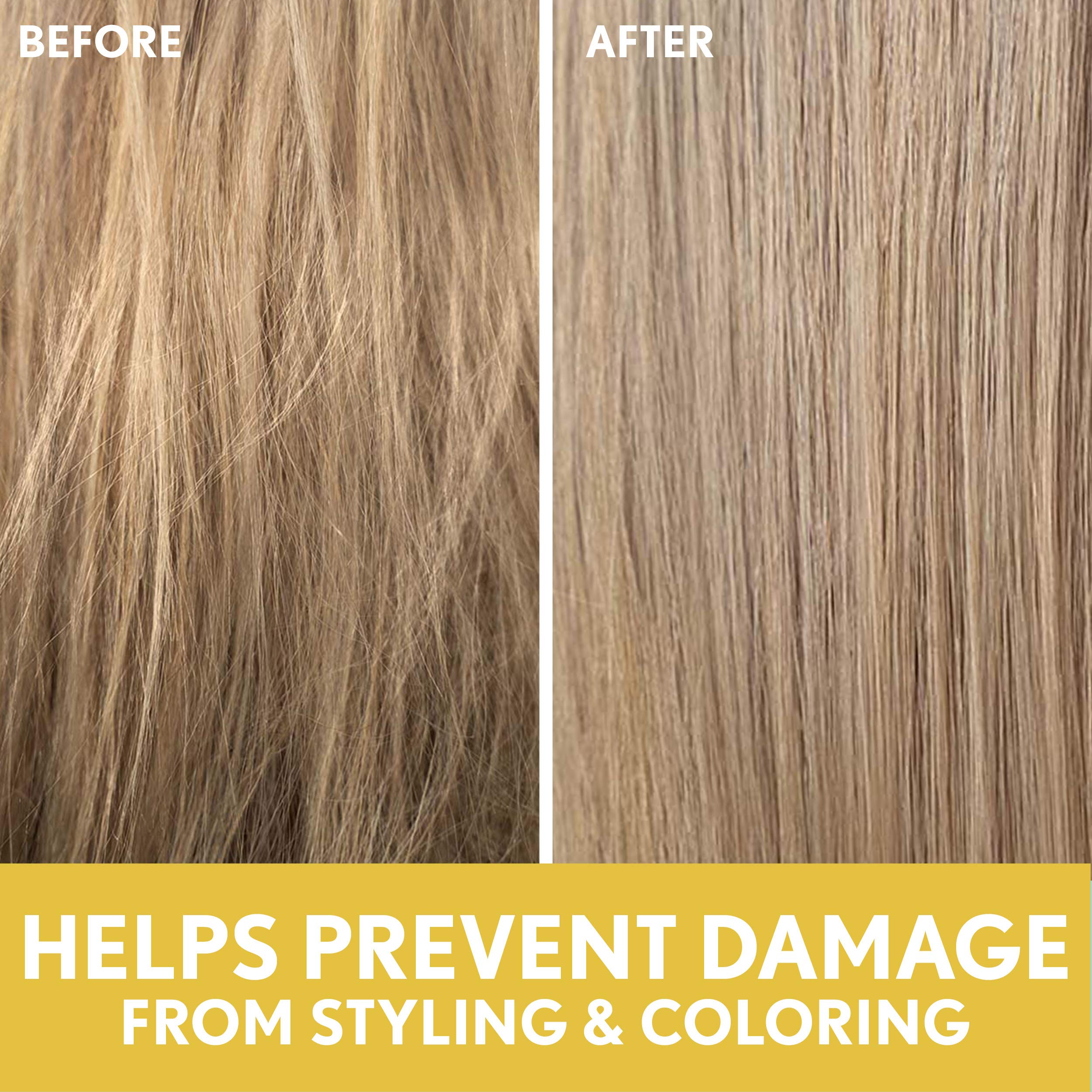 Aveeno Deep Moisturizing Sunflower Oil Blend Shampoo ingredients close-up highlights oat