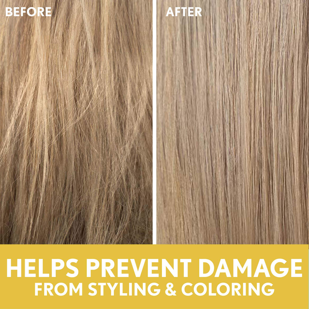 Aveeno Deep Moisturizing Sunflower Oil Blend Shampoo ingredients close-up highlights oat