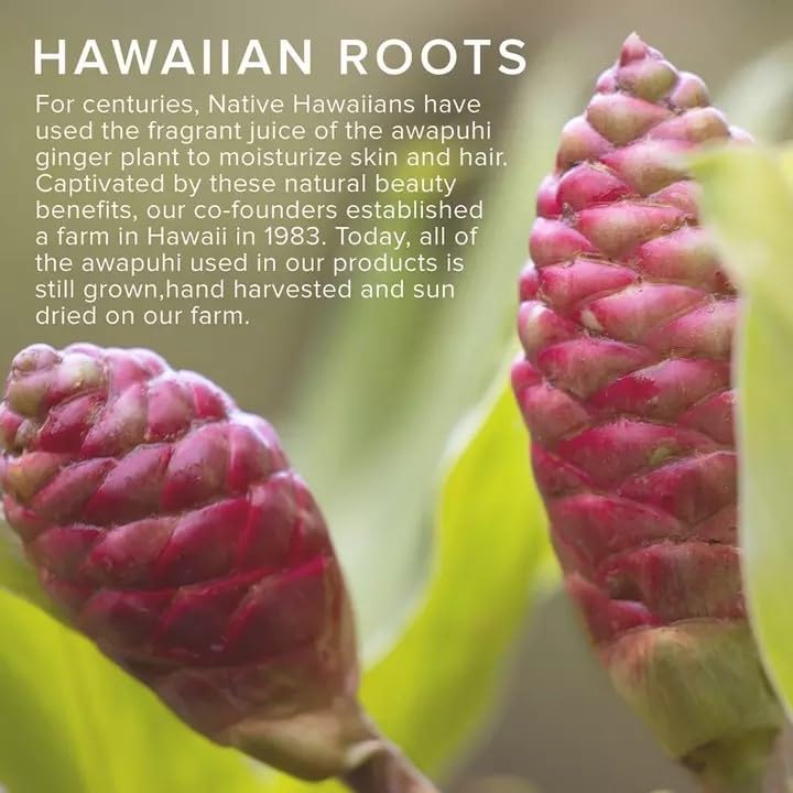 Awapuhi Wild Ginger hairspray on hair for updo durability.