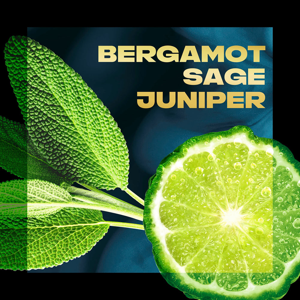 Notes Bergamote Sauge Genievre: parfum frais et masculin.