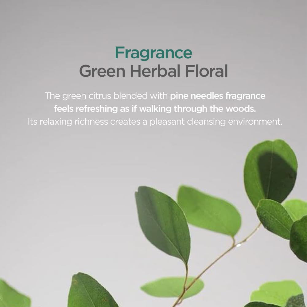 AYUNCHE Green tea extract ingredient highlights scalp care benefits