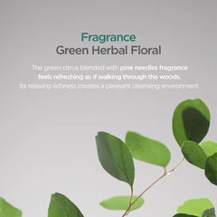 AYUNCHE Green tea extract ingredient highlights scalp care benefits