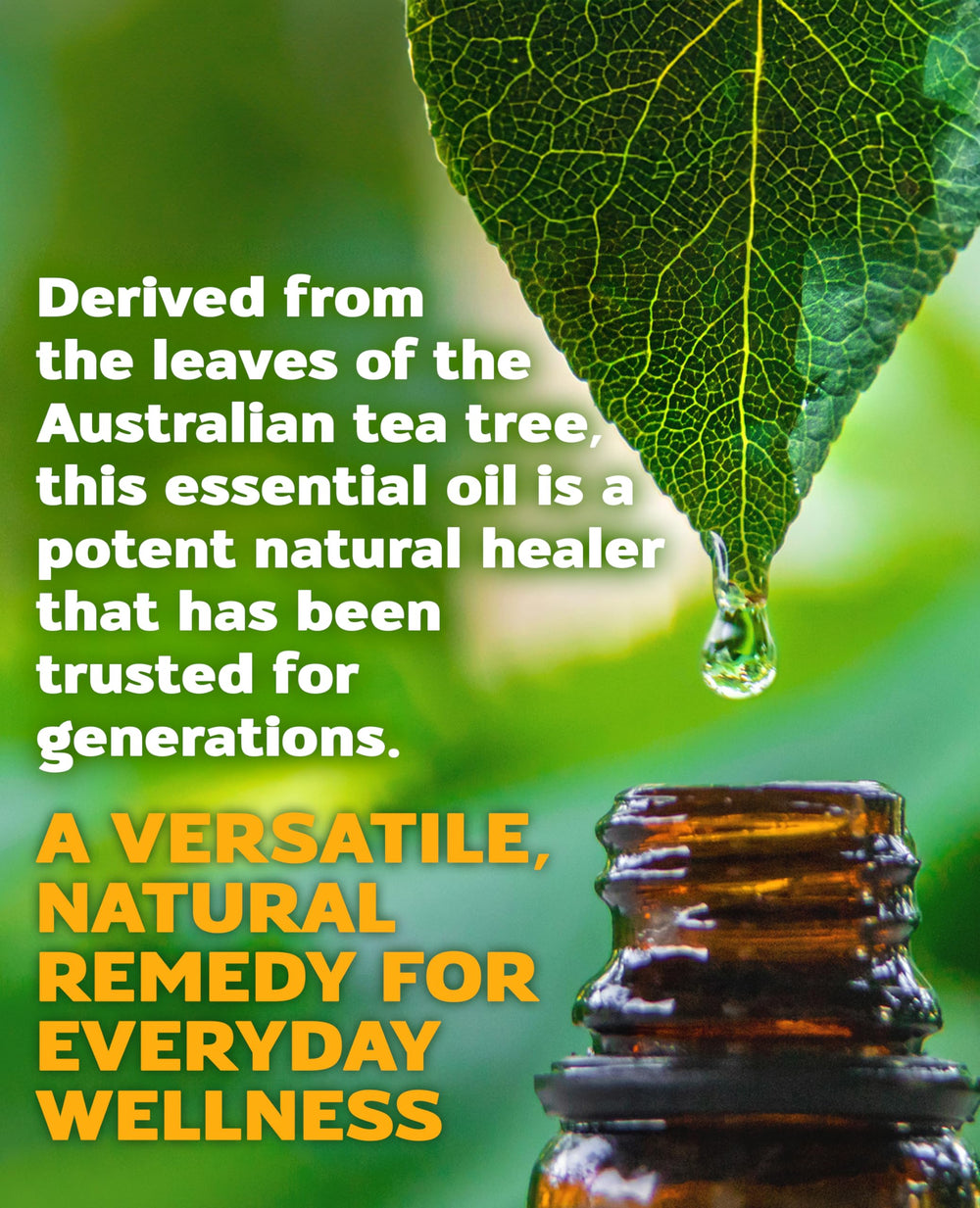 Aztec Secret Royal Tea Tree Oil antioxidants and vitamins feature.