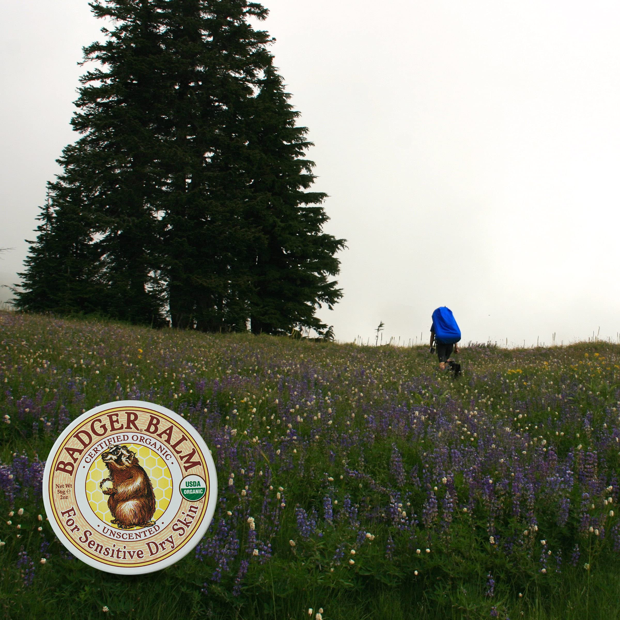 Badger Balm family use concept demonstrating versatile care for dry skin.