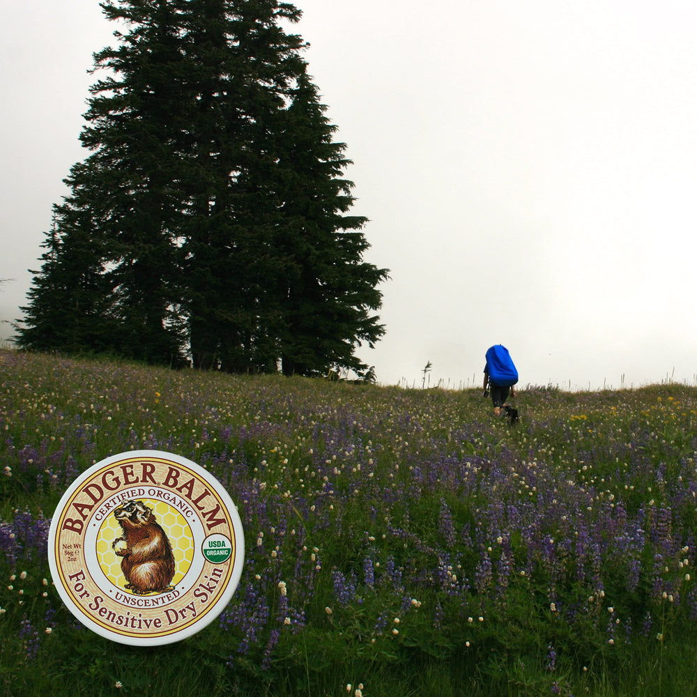 Badger Balm family use concept demonstrating versatile care for dry skin.