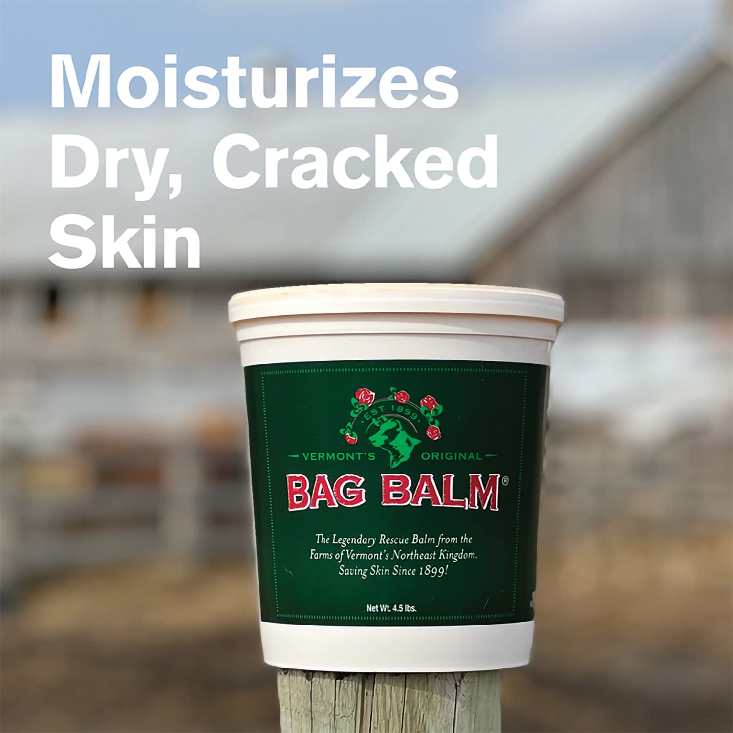 Bag Balm applied to cracked heels softens skin for comfortable wear.