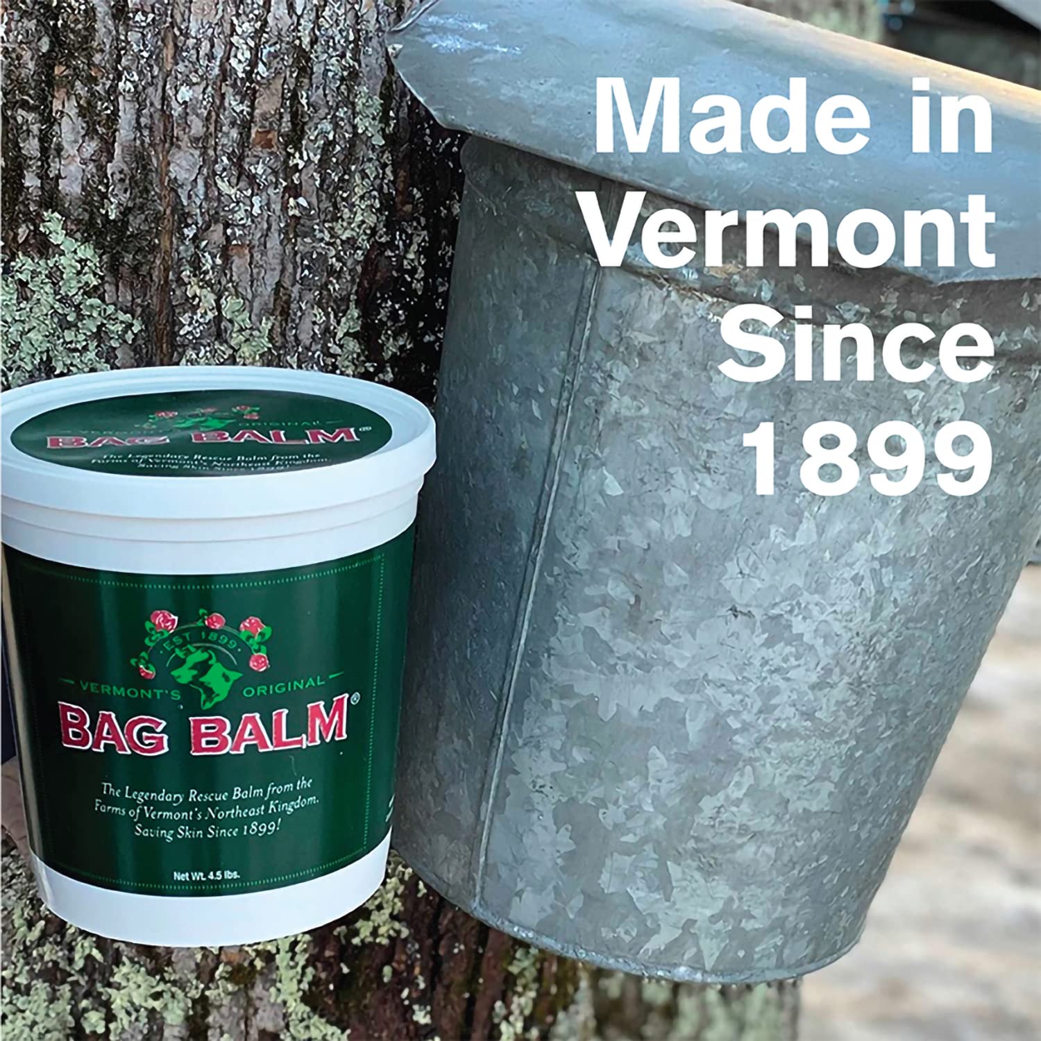Fragrance-free Bag Balm ingredients safe for sensitive skin.