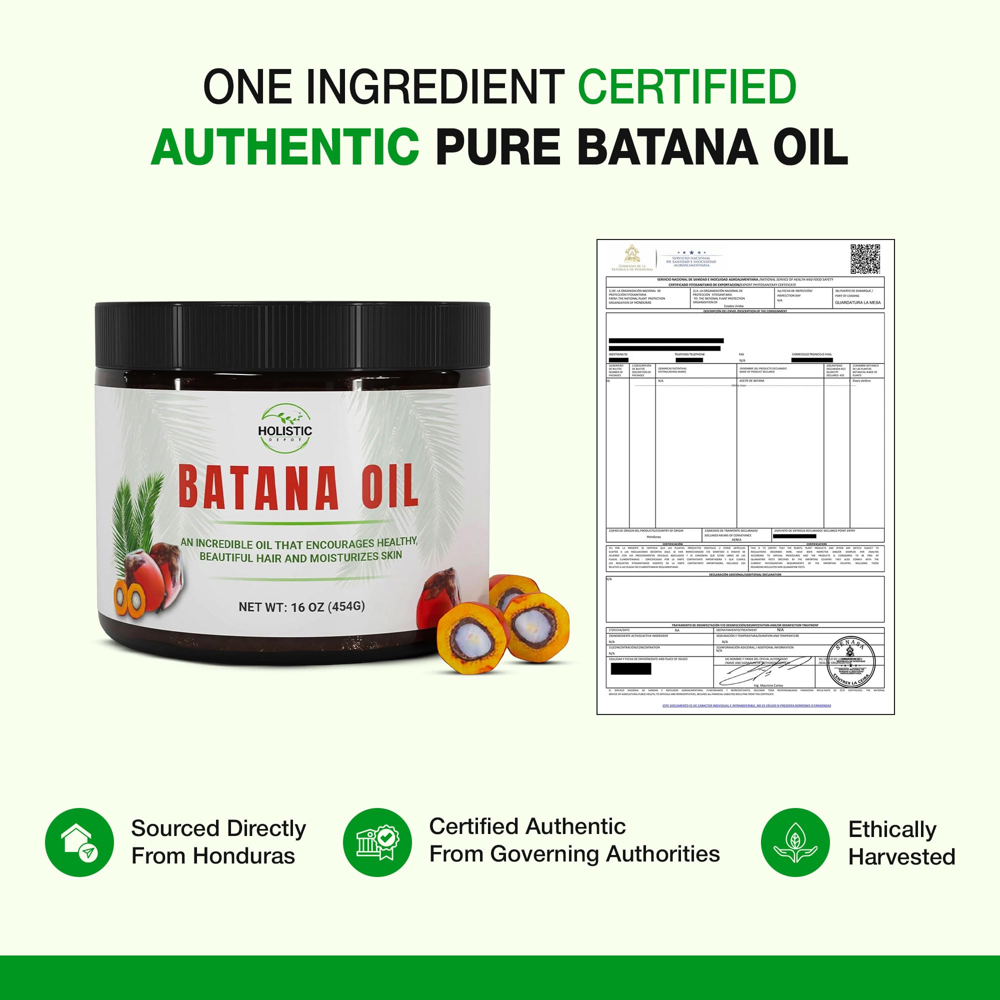 Holistic Depot Batana Oil applied to hair for shine.