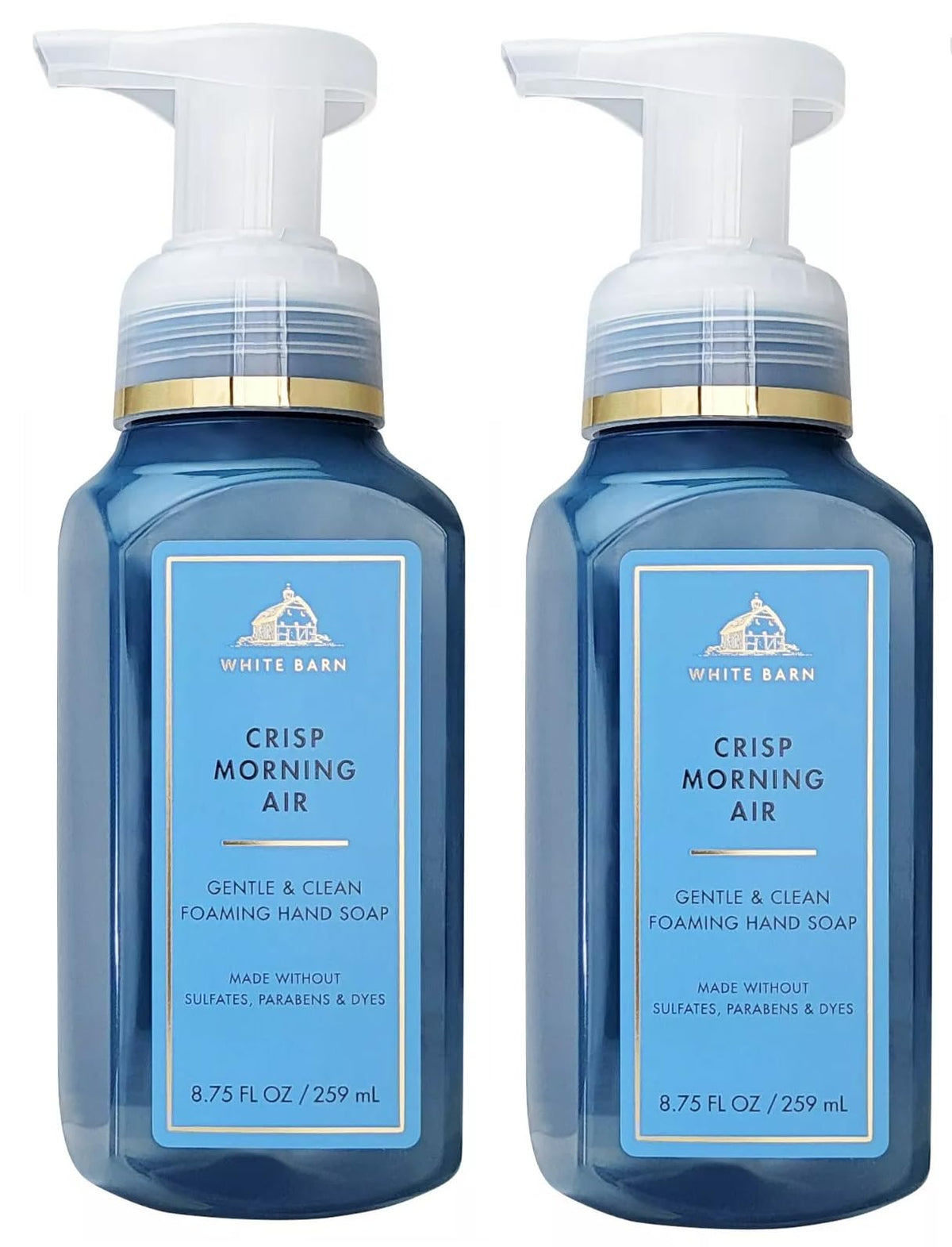 Bath & Body Works Crisp Morning Air 2-pack bottles offer gentle foaming hand soap for everyday cleansing.