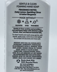 Bath & Body Works Kitchen Favorites peach bellini foaming hand soap bottle for fresh cleansing
