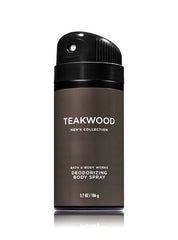 Bath and Body Works Teakwood 2-in-1 hair and body wash for streamlined routines.