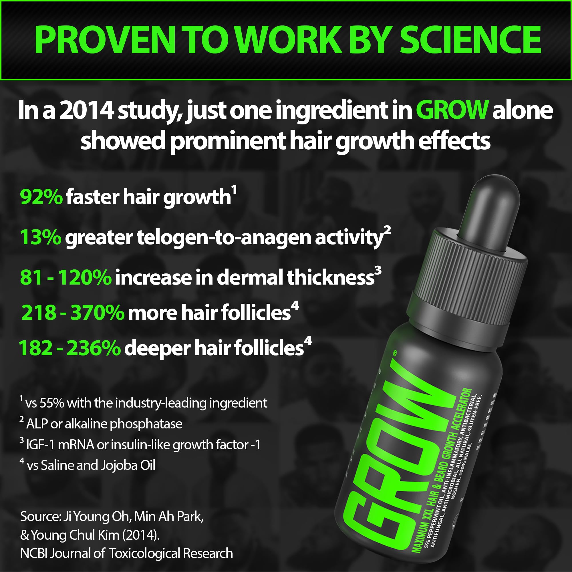 Beard after grooming with soft, healthy looking results in natural light