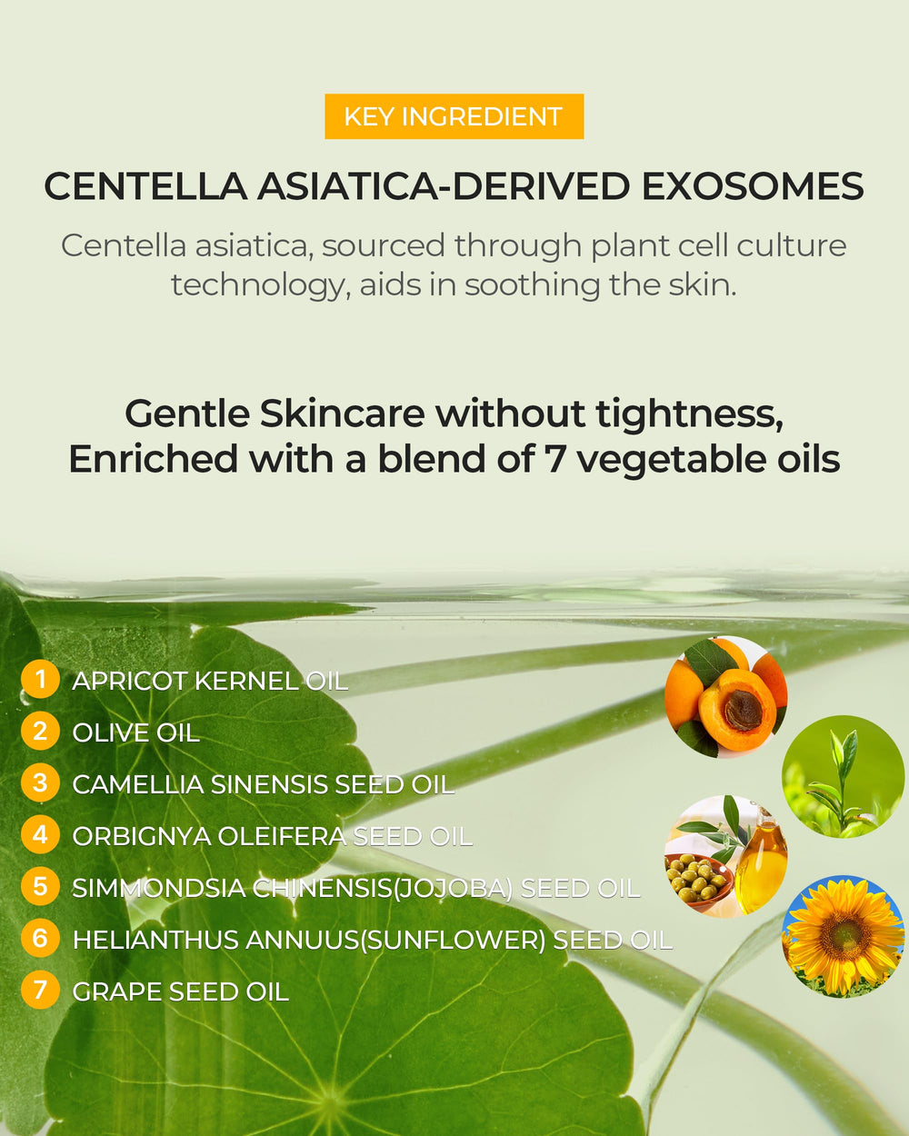 BE THE SKIN Pore Reset blend of natural oils offers daily nourishment.