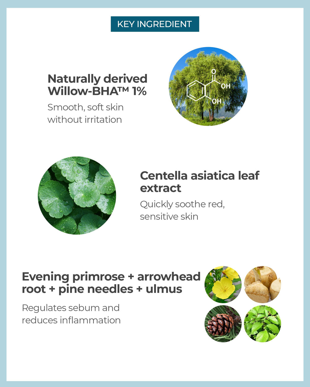 BE THE SKIN Pore Zero serum ingredients: Cica and willow bark soothe redness and balance.