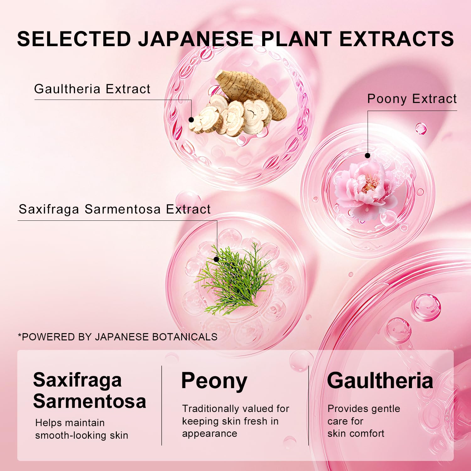 Beauté Rondo Withfam botanicals Peony and Gaultheria visible.