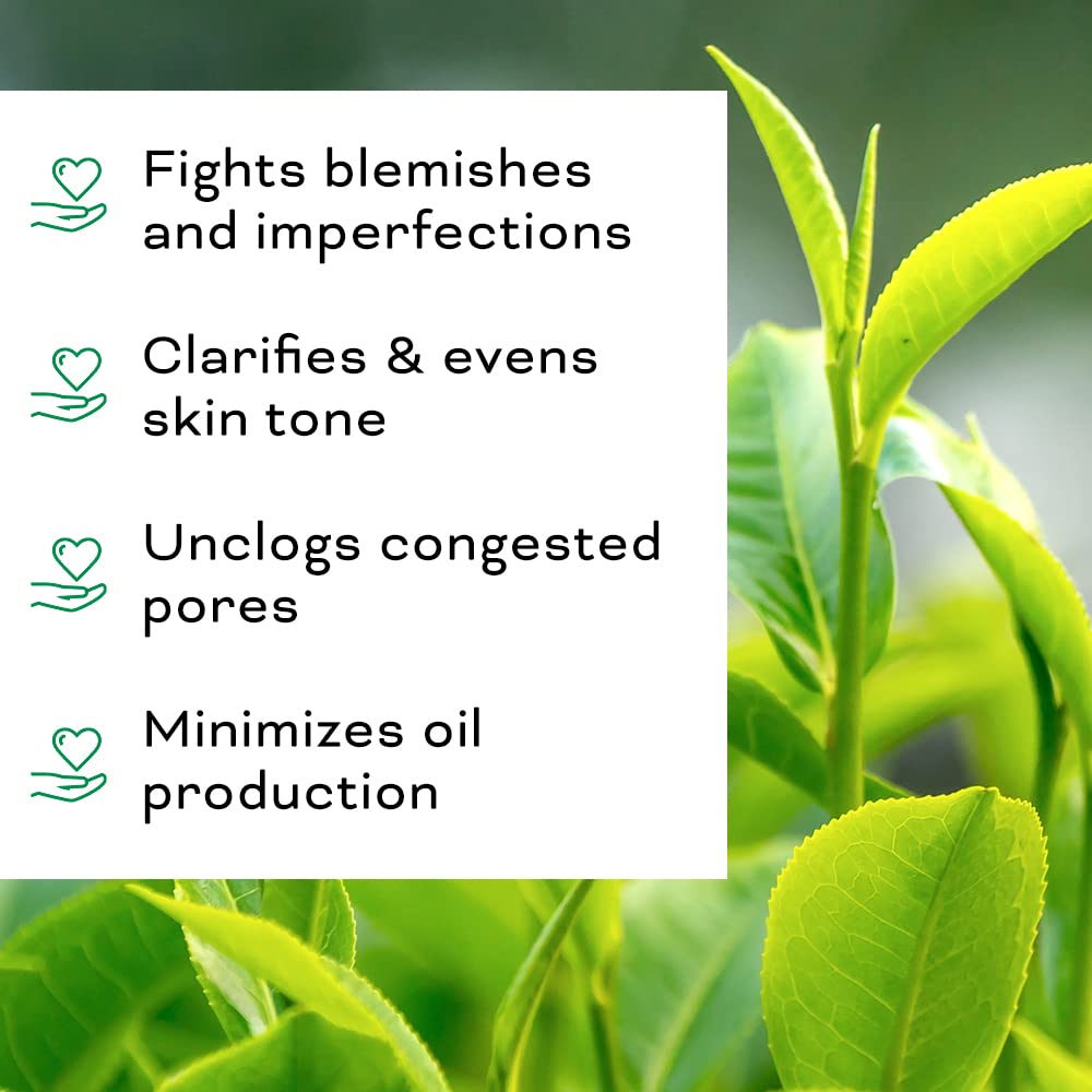 Ingredients of Beauty Foundry Tea Tree Oil feature tea tree leaves, rosemary and sunflower oil.