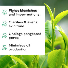 Ingredients of Beauty Foundry Tea Tree Oil feature tea tree leaves, rosemary and sunflower oil.