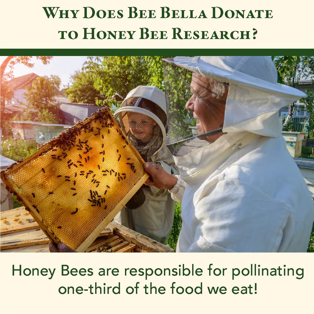 Bee Bella Lip Balm handmade in USA packaging craftsmanship