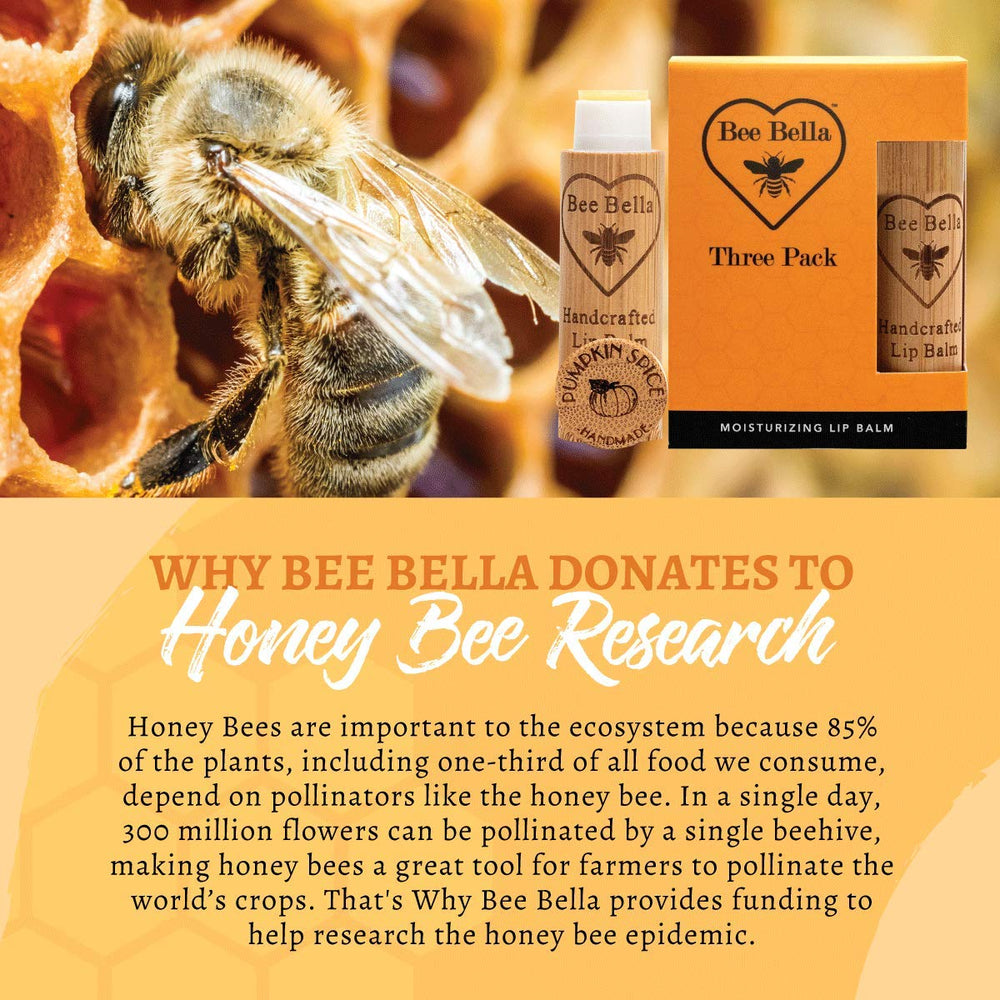 Handmade in the USA badge on Bee Bella Lip Balm packaging