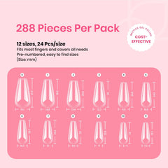 Premium PMMA Beetles nail tips with a clear, durable finish.