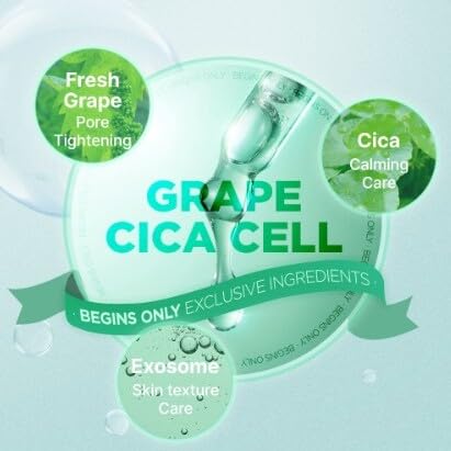 BeginS by JungsaemMool pore-smoothing result accents smoother-looking pores after application.