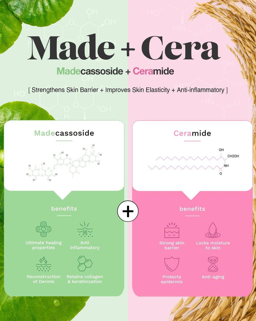 BEISIKS SKINRxLAB MadeCera ingredients include ceramide and milk protein for comfort.