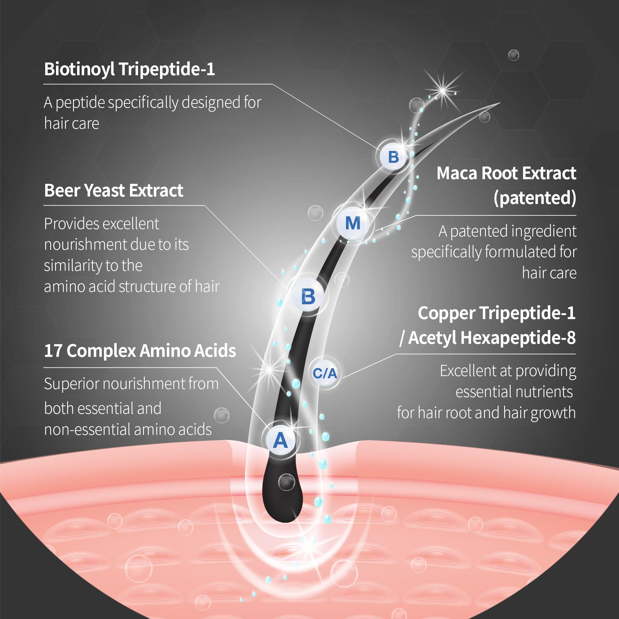 Ingredient panel visuals highlighting yeast and peptides.