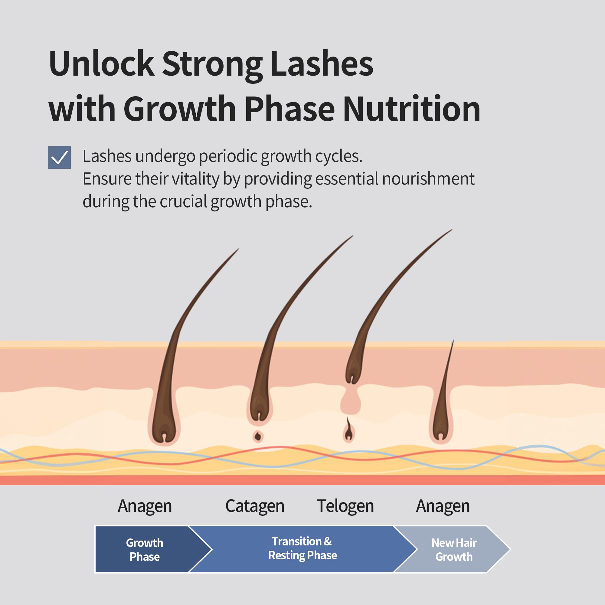 BENTON Honest Eyelash Serum applied to eyebrows and hairline for cohesive care.
