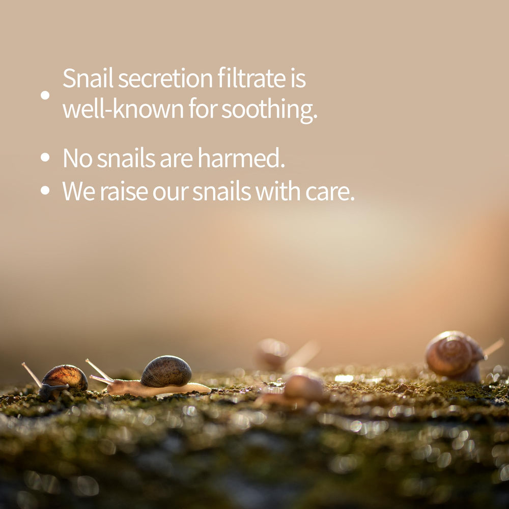 Benton Snail Bee High Content Mask Pack sheets closeup for moisturizing hydration