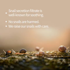 Benton Snail Bee High Content Mask Pack sheets closeup for moisturizing hydration