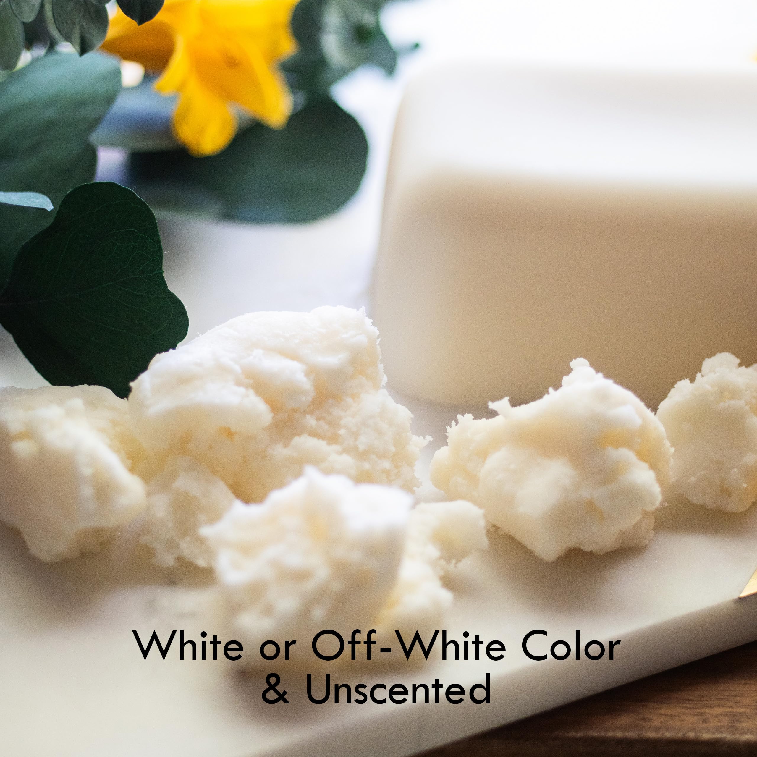 Better Shea Butter melts in hand for easy, even application