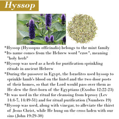BIBLE N Beautyoils Hyssop Wash being poured for moisturizing lather
