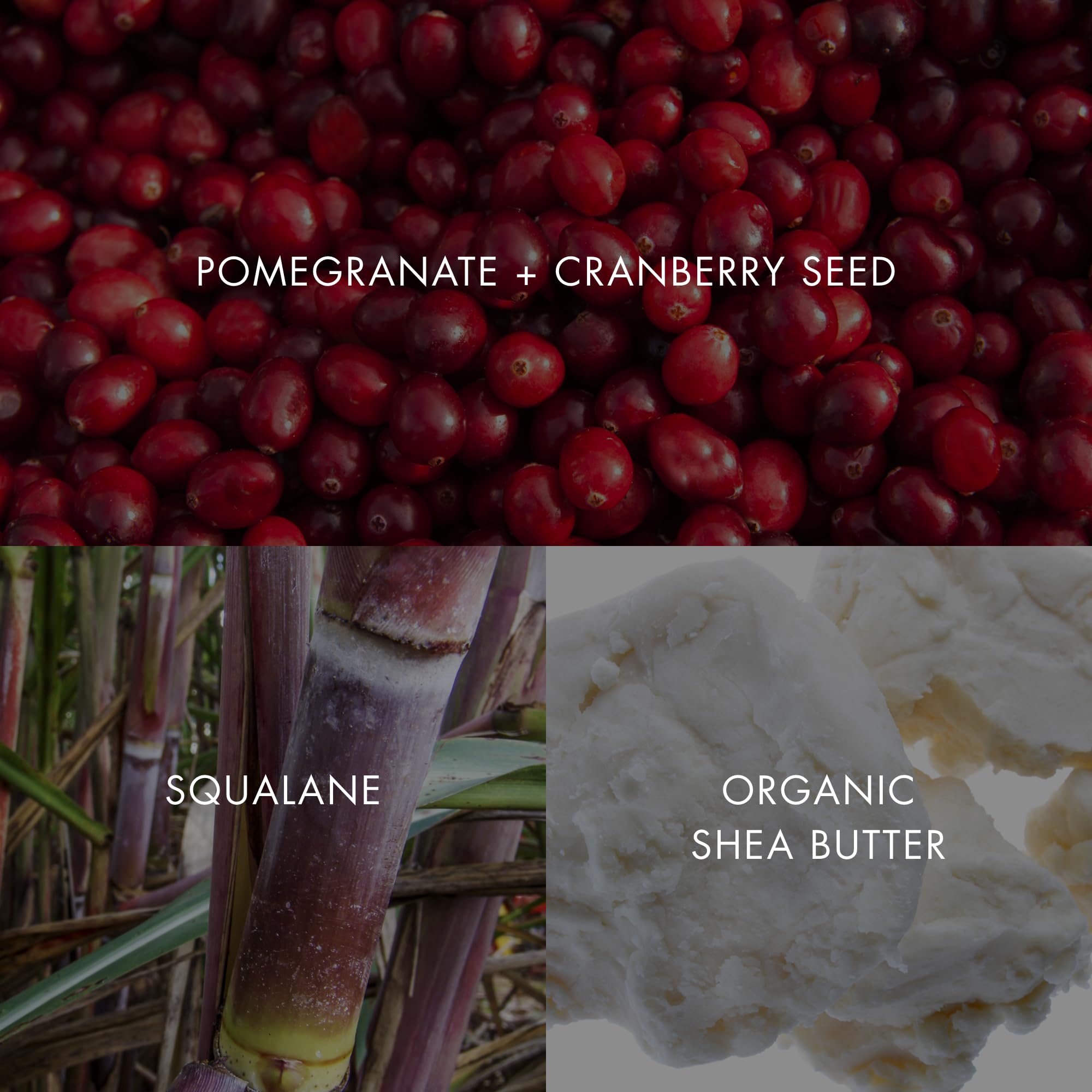 Bioelements Antioxidants Pomegranate Cranberry panel emphasizes vitamin-rich protection.