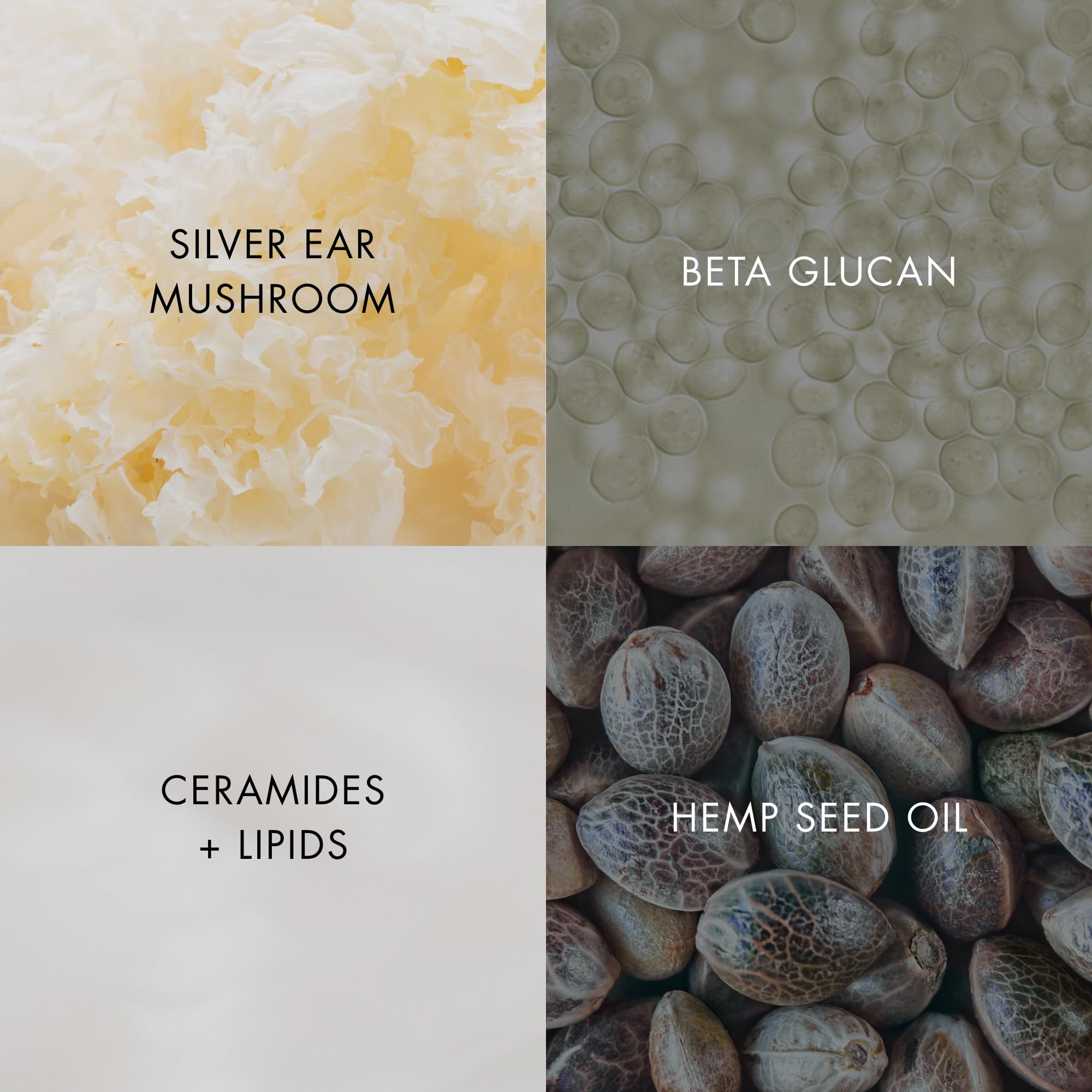 Bioelements Barrier Fix AM and PM routine imagery for daily skincare